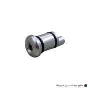 مغزی خلاص کن آلنی سوزوکی